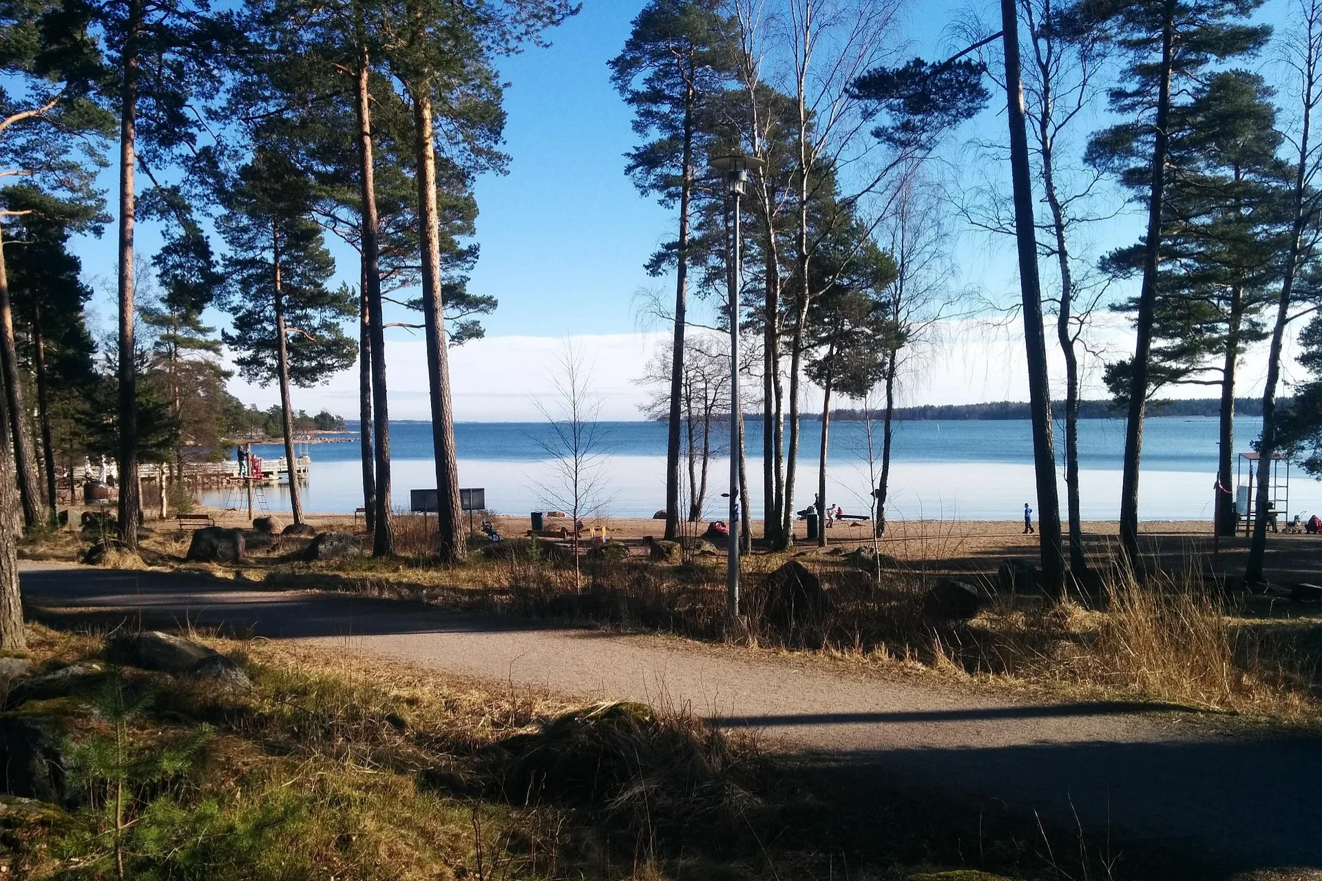 5 syytä valita Espoon hunaja – paikallista ja puhdasta