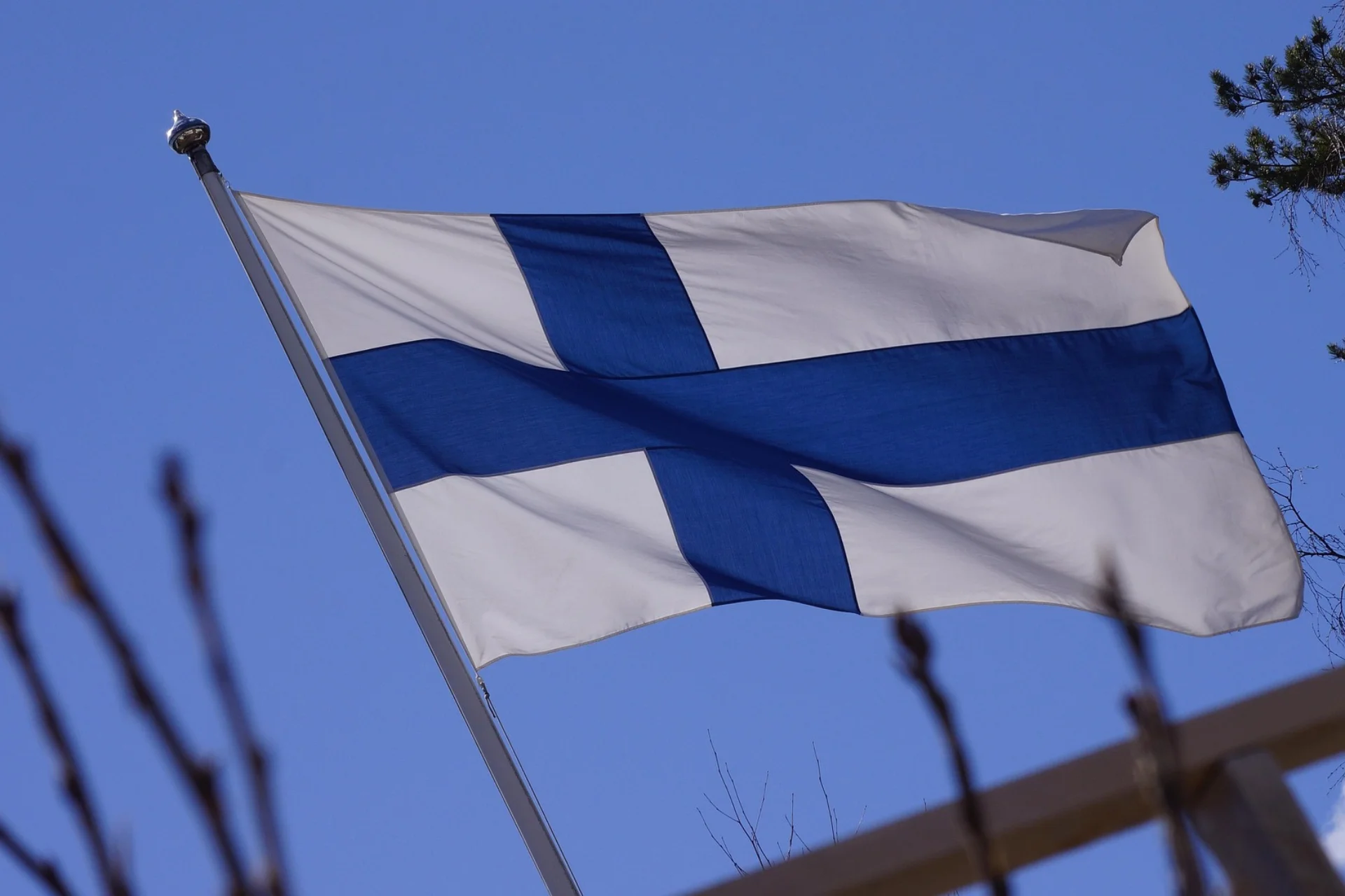 Miksi valita suomalainen hunaja? 4 vahvaa syytä