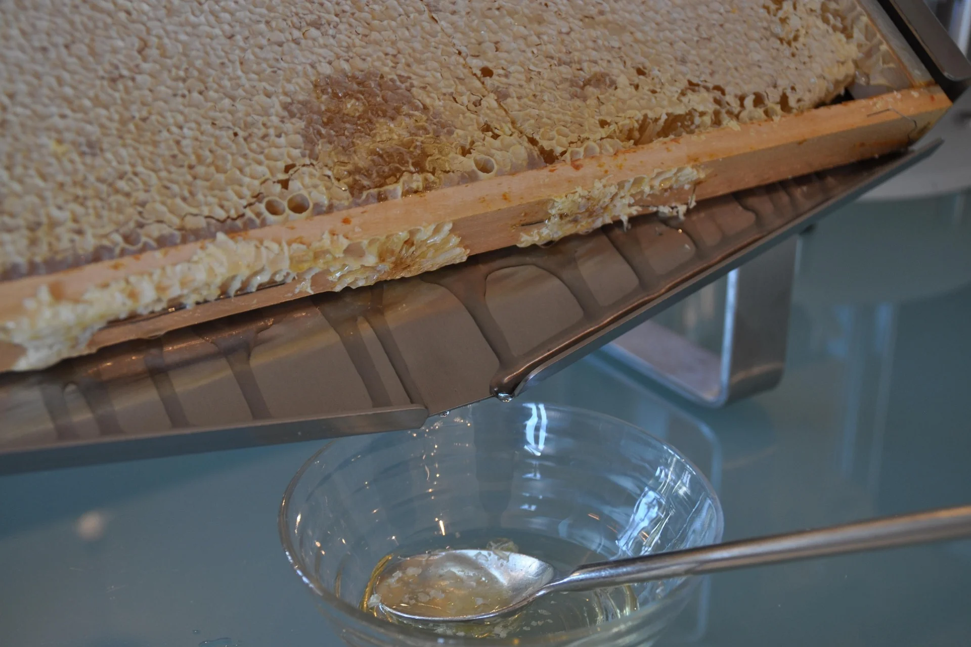 Mitä on pastöroimaton hunaja? 5 tärkeää faktaa