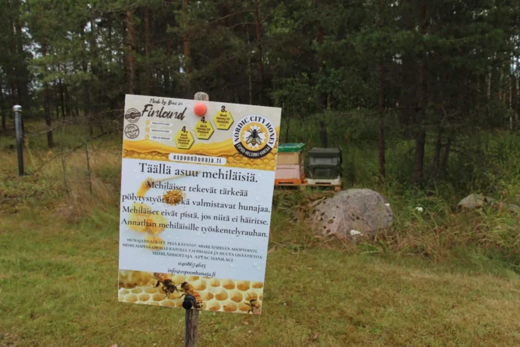 Hunajaa ja hyvinvointia